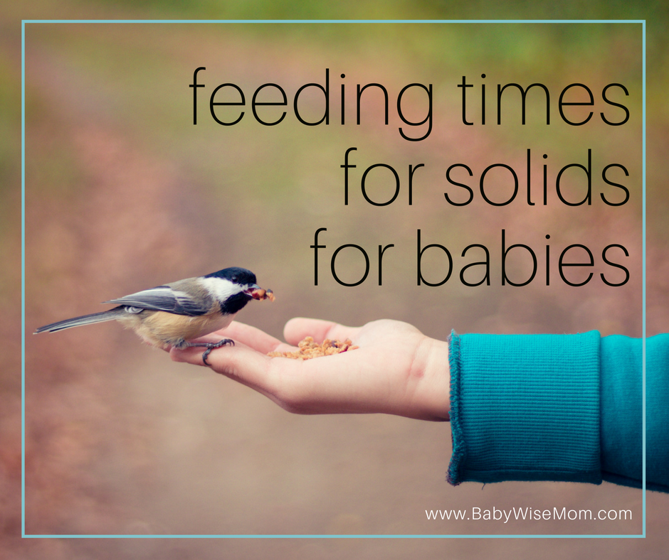 Feeding Times for Solids Chronicles of a Babywise Mom