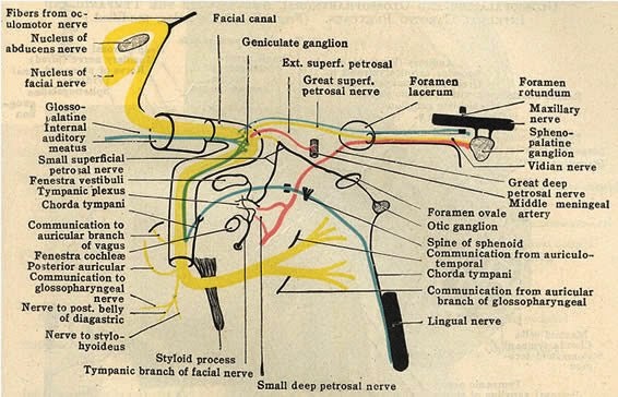 ENT Blogs: July 2014