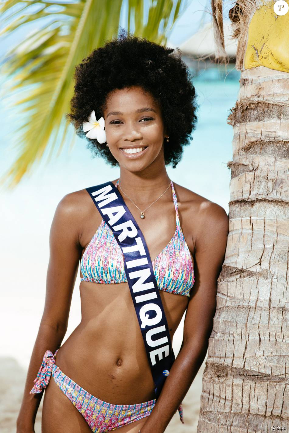 Eye For Beauty: If I were a judge: Miss France 2016