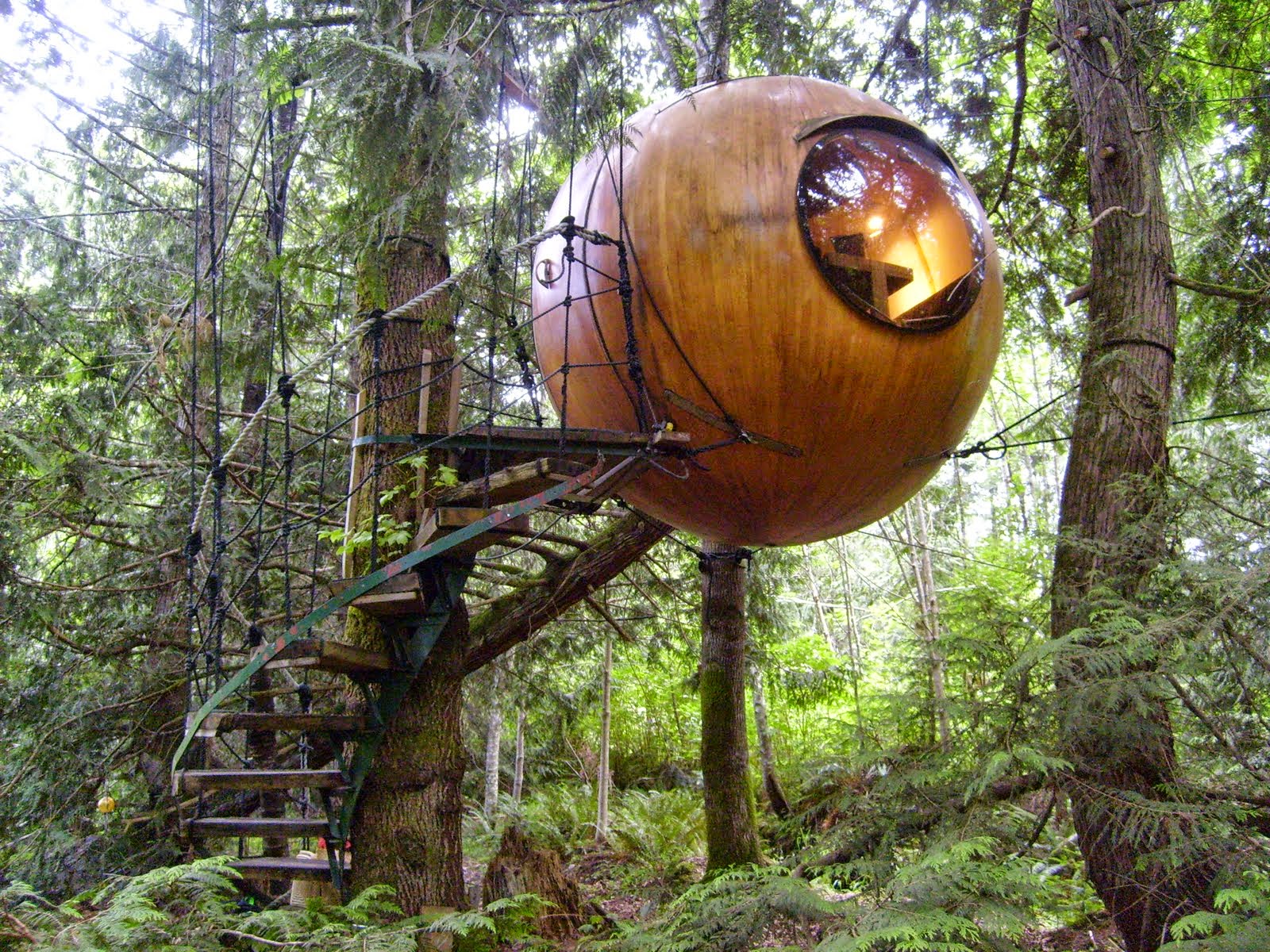 Astonishing Treehouses Amazing And Bizarre Tree Homes Amazing Tree Homes You Won T Believe