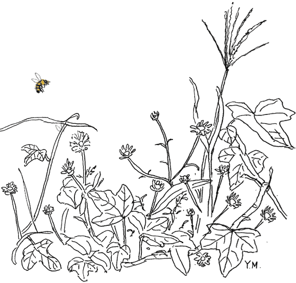 Busy bee by Yukié Matsushita