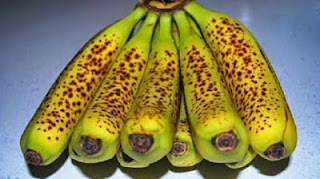 Pisang yang bagus