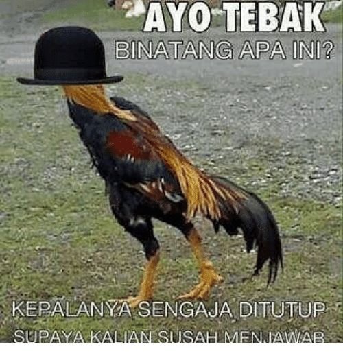 20 Meme Lucu Tebakan Disensor Ini Kocak Banget Ada yang 