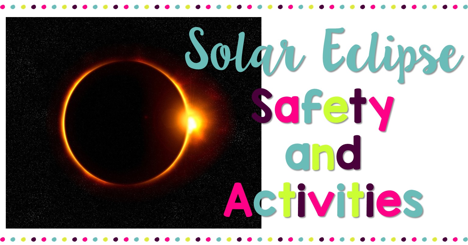 Short Eared Owl Focusing On Wildlife