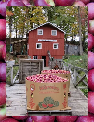 Things to do in Westfield, New York: Busti Apple Cider Mill