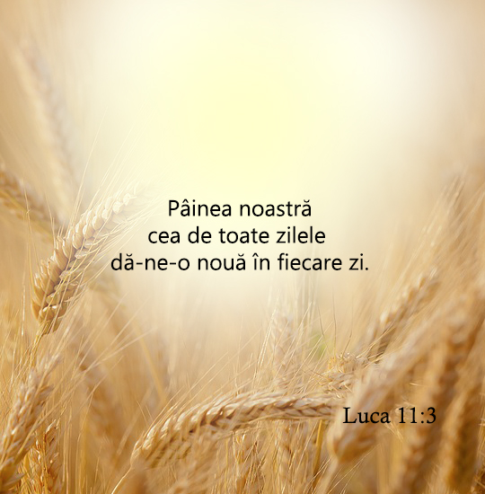 Versete De Aur Painea Noastră Cea De Toate Zilele