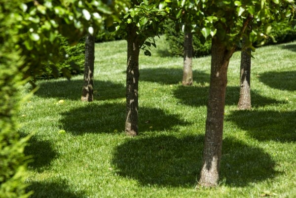 Un jardín de estilo chino: la serenidad como protagonista - Guia de jardin