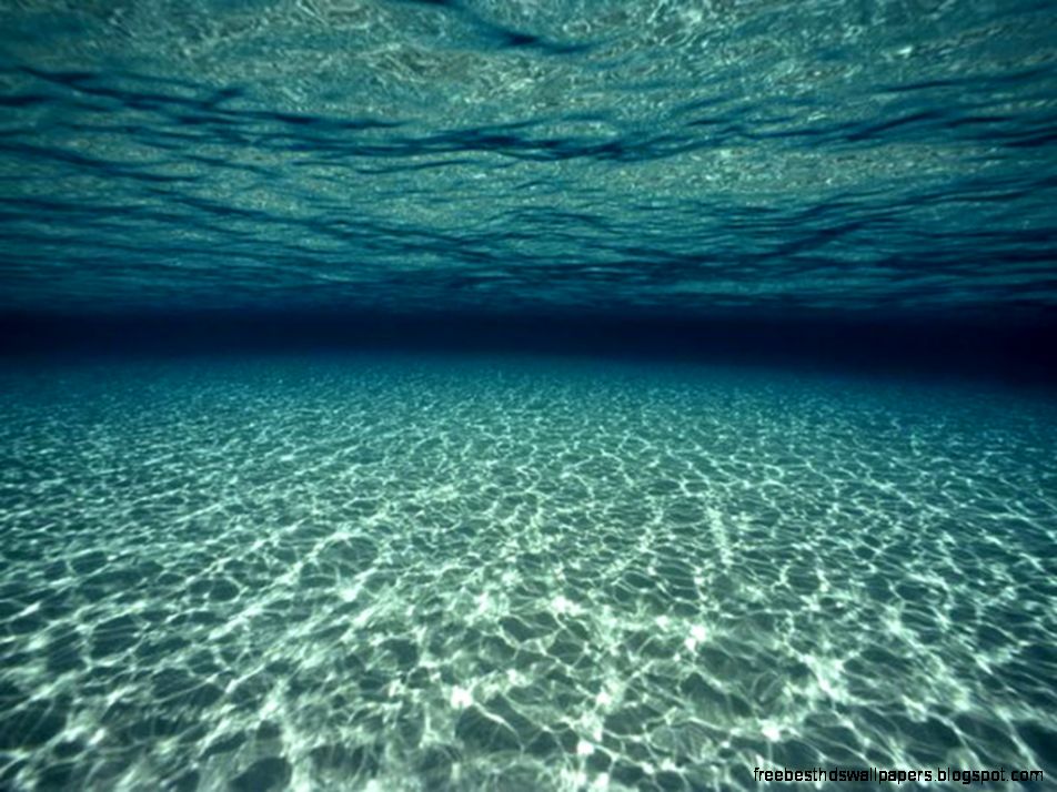 underwater wallpaper 12
