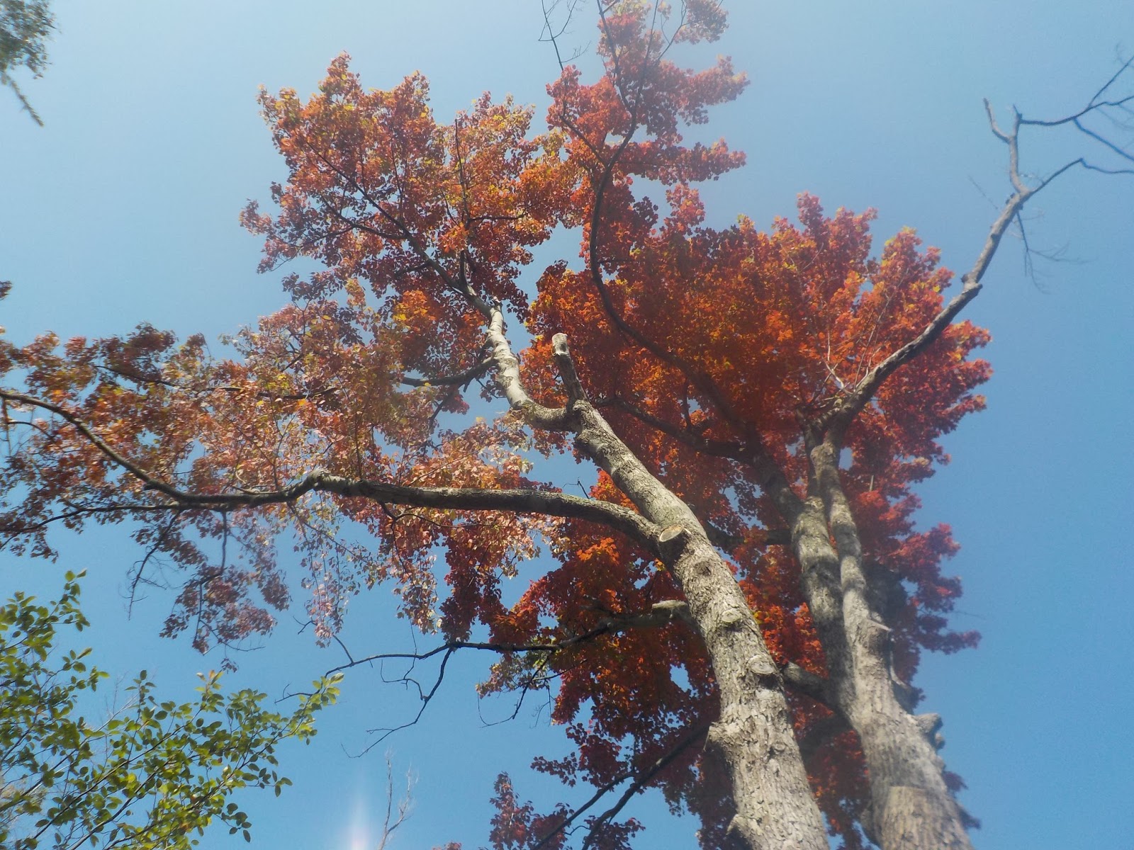 My Adventures West Seneca, New York ADVENTURE