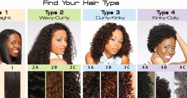 Black Hair Affair Whats Your Hair Type  black-hair-affair-whats-your-hair-type