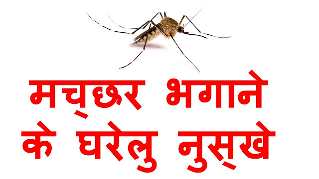 मच्छरों ने उड़ा रखी है रातोें की नींद तो अपनाएं ये घरेलू तरीका! मच्छरों ने उड़ा रखी है रातोें की नींद तो अपनाएं ये घरेलू तरीका!