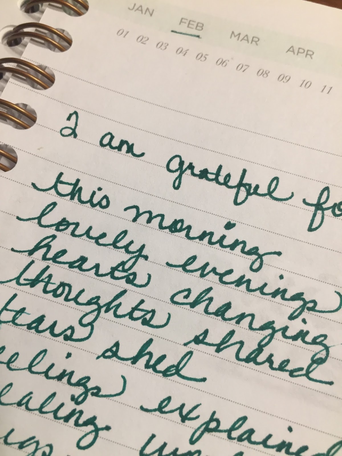 Wishblooms: The Joy of Journaling - the Opposites