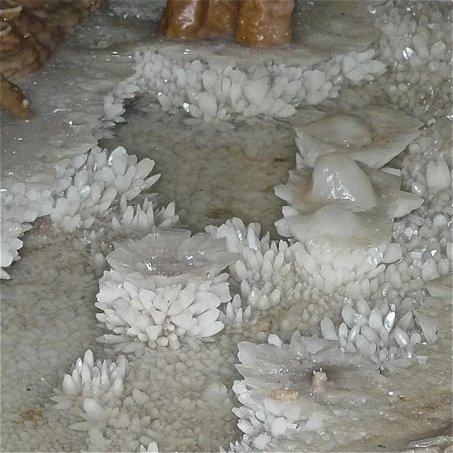 Inside Nettlebed Cave: Crystals In a Pool (PHOTOS)