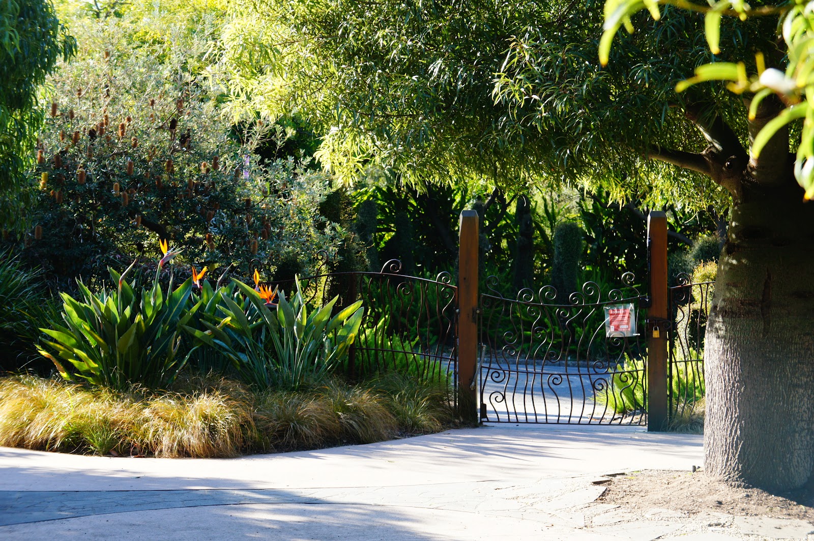 Ramiel Plantae The Ian Potter Foundation Children’s Garden