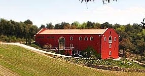 Tuscan Natural Harvest Dog Food Tuscan Natural Harvest Dog Food