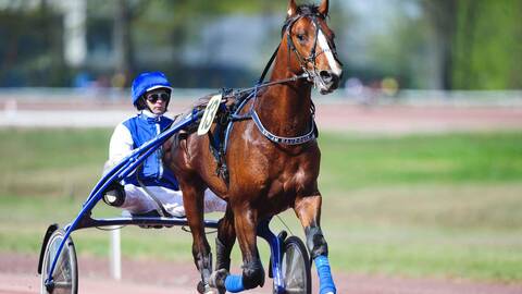 Quinté 23-02-2021 - R1C1 PRIX DU CHESNAY