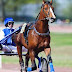 Quinté. Dimanche 27 septembre 2020 à Vincennes /Autres courses
