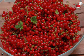 Slatko od ribizli - Kuvajmo srcem