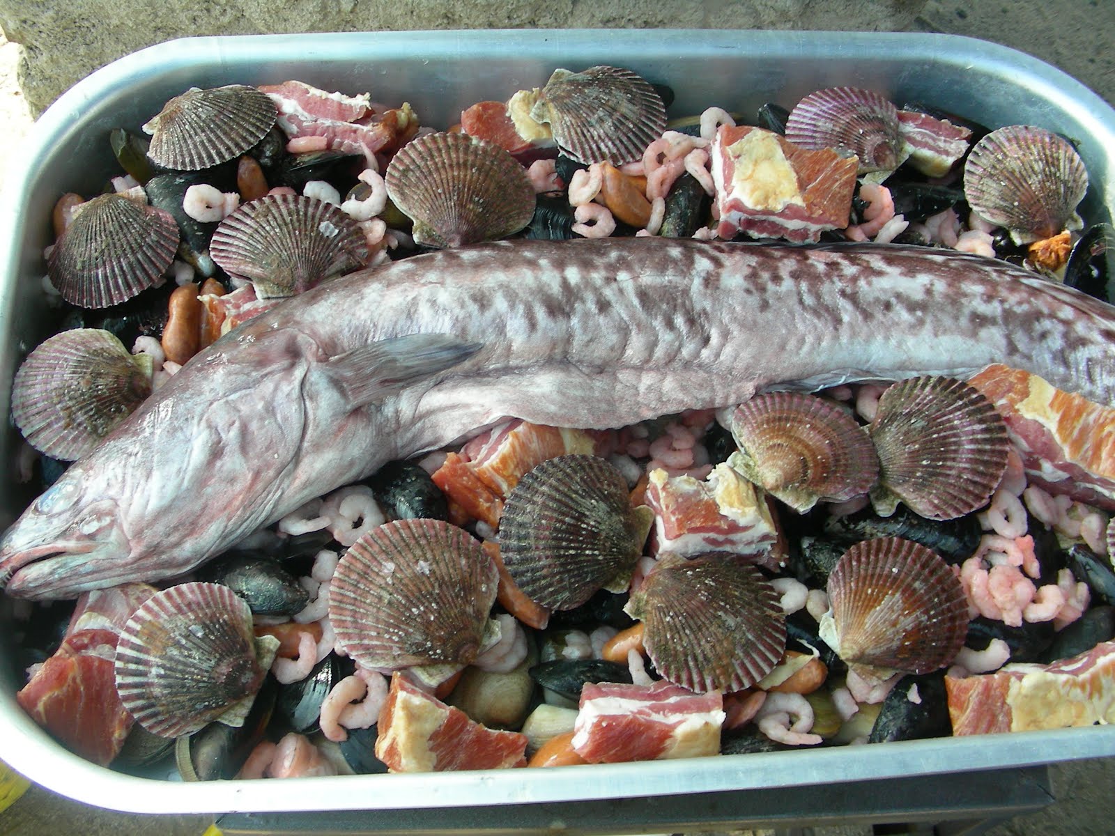 Un grande del pescado congelado entra en pescadería moderna