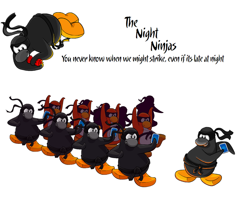 The Night Ninjas