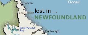 lost in newfoundland