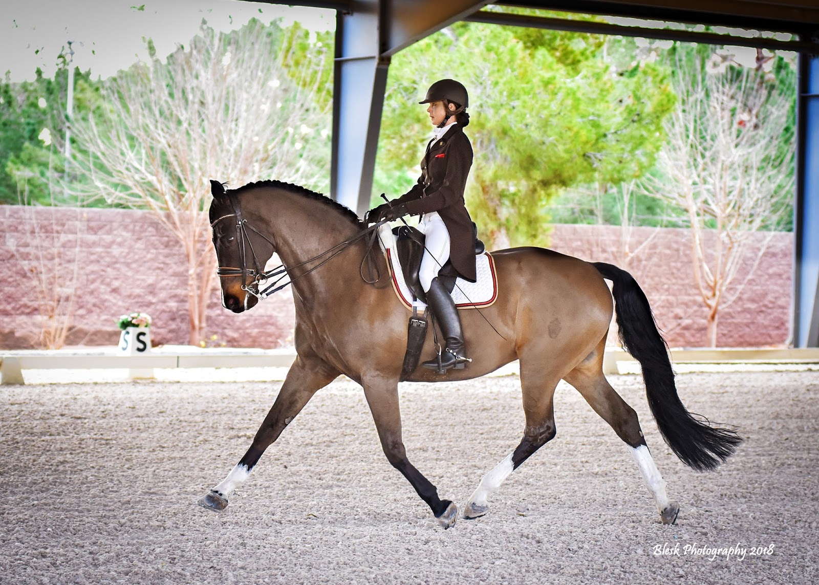 Dressage Elevated Ride Your Horse Calm, Forward, and Make Him Straight
