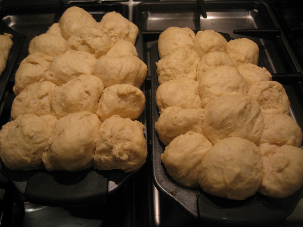 Buttermilk Rusks Egte Karringmelkbeskuit