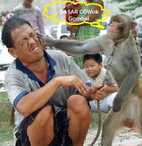 Kumpulan Foto Lucu Gokil dan Unik Bikin Ketawa Terbaru Kumpulan Foto Lucu Gokil dan Unik Bikin Ketawa Terbaru