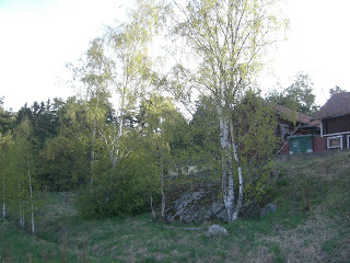 Morgonpromenad%2B%25286%2529 - Dagens morgonpromenad