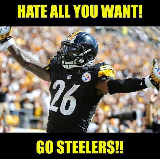 hate all you want! go steelers!!