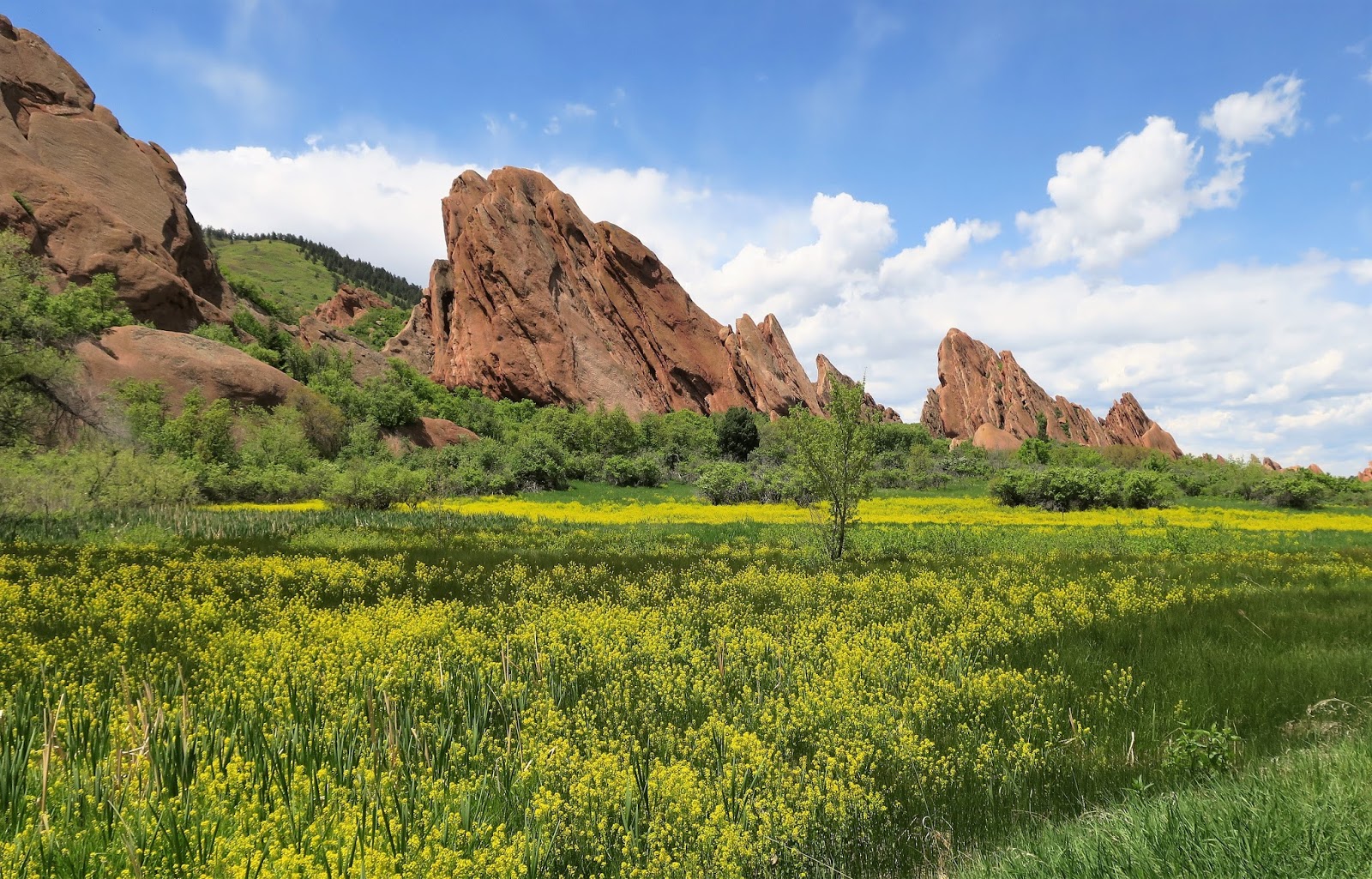 Living Rootless Colorado Roxborough State Park