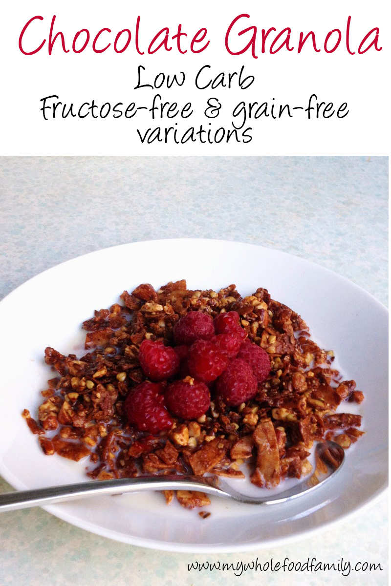 My Wholefood Family Essentials My favourite chocolate granola