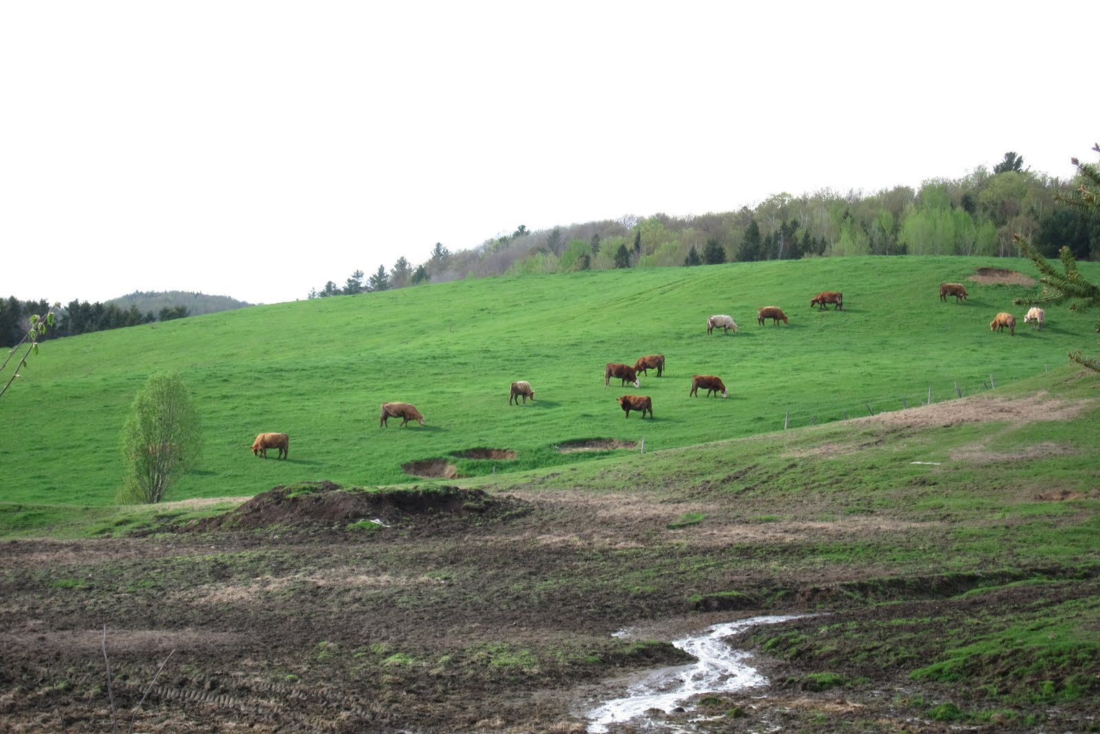 Cycle Fun Montreal Photos StJeandeMatha to SteEmiliedeL'Energie