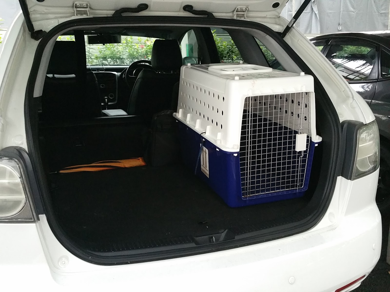 Pet Taxi Transport Movers Pet Taxi Singapore
