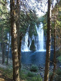 View of Burney Falls framed by trees.