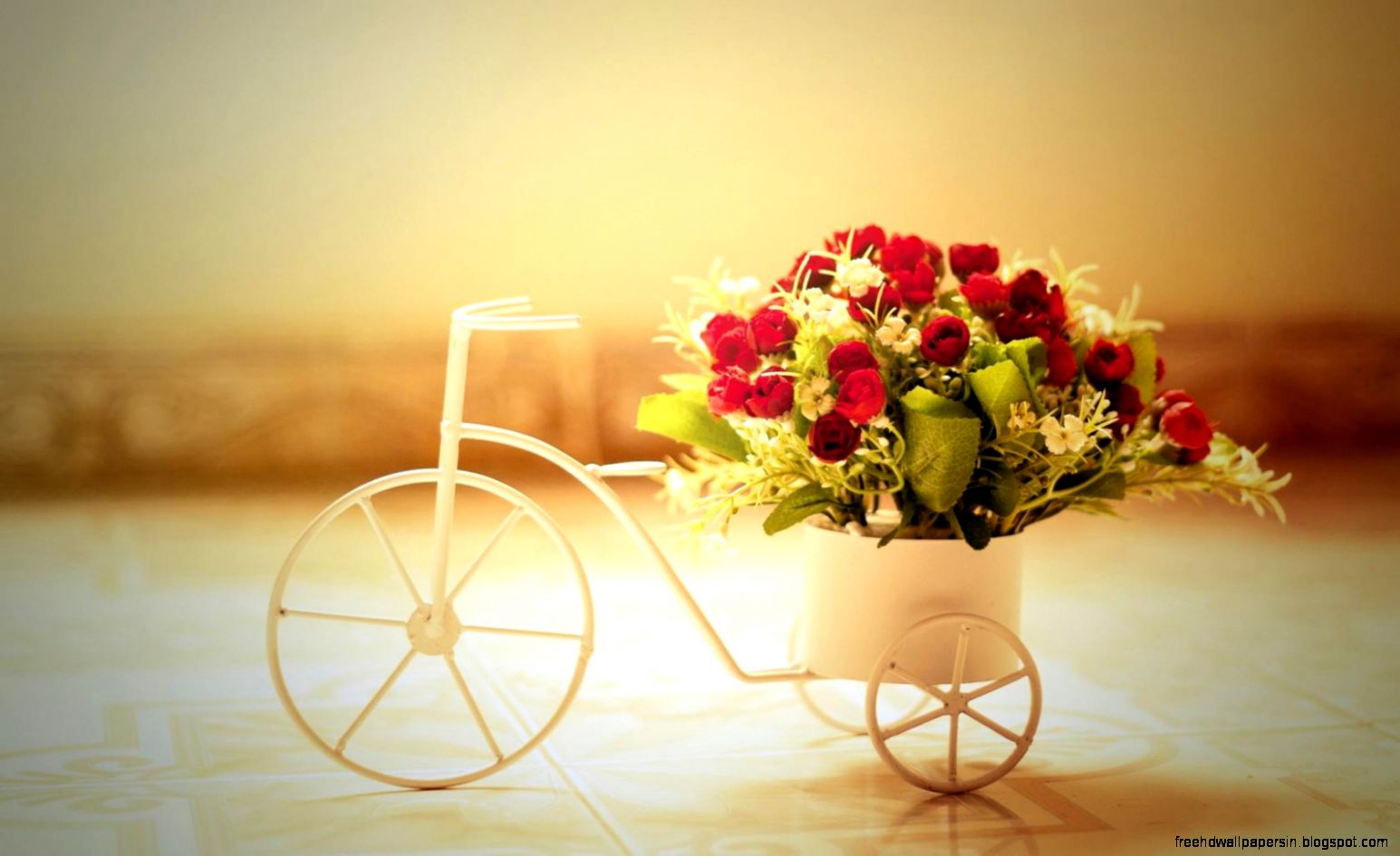 Romanticrosesbicycle widescreen desktop wallpaper 1680x1050