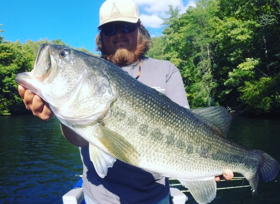 North carolina freshwater fish startink
