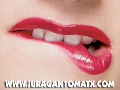 juragantomatx.com juragantomatx.com
