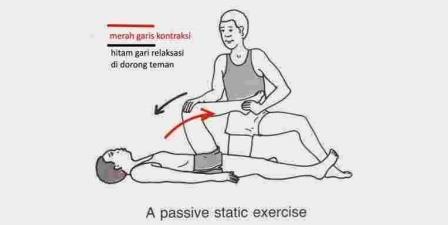 Latihan Fleksibilitas Menggunakan PNF Latihan Fleksibilitas Menggunakan PNF