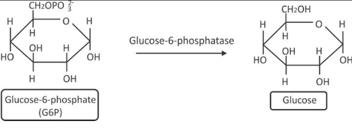 Systemic name :-Glucose-6-phosphate.ATP.transferase. 