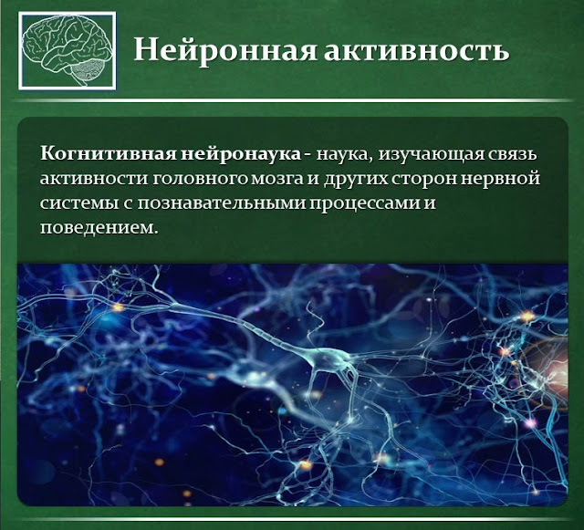 Когнитивная нейробиология вшэ учебный план