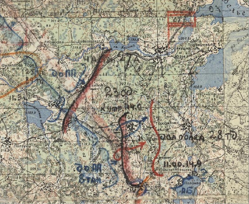 В 1942 году образовался новгородский рубеж