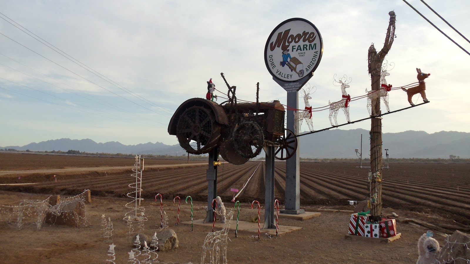 Jim and Bev Wellton, AZ
