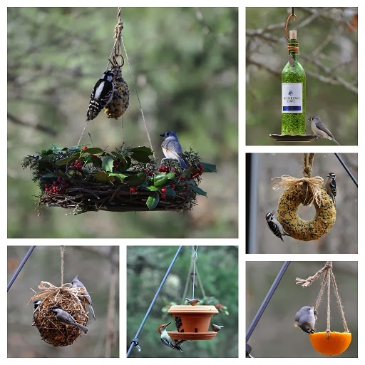 The Garden roof Coop DIY Bird Feeders And More the-garden-roof-coop-diy-bird-feeders-and-more