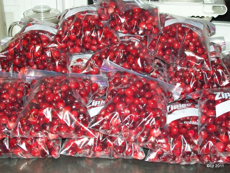 The River Wisconsin Cranberries Pt 2