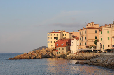Marciana Marina birgo Cotone