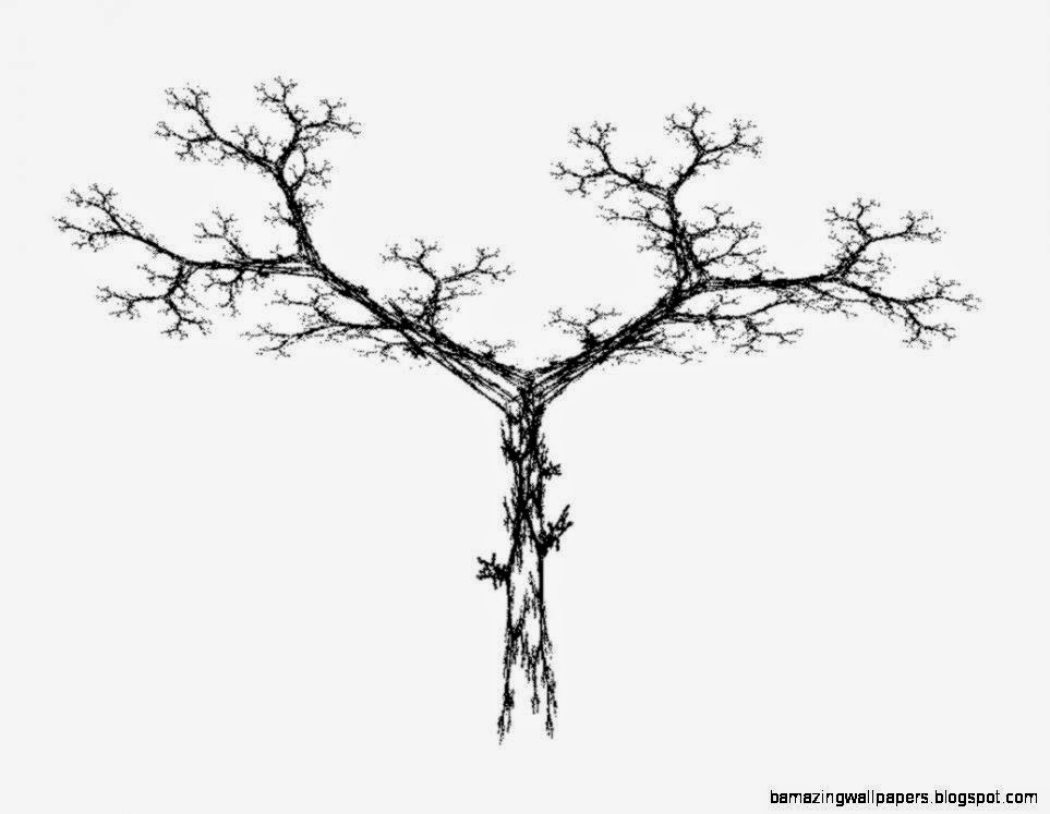 Black And White Tree Drawings