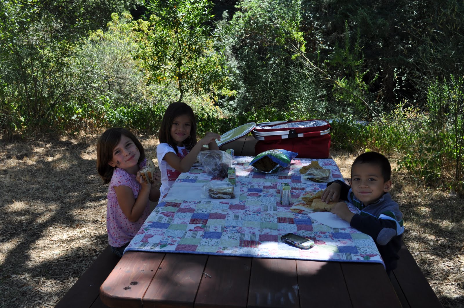 An Inspired Space Hey Boo Boo...Look at that Picnic Basket