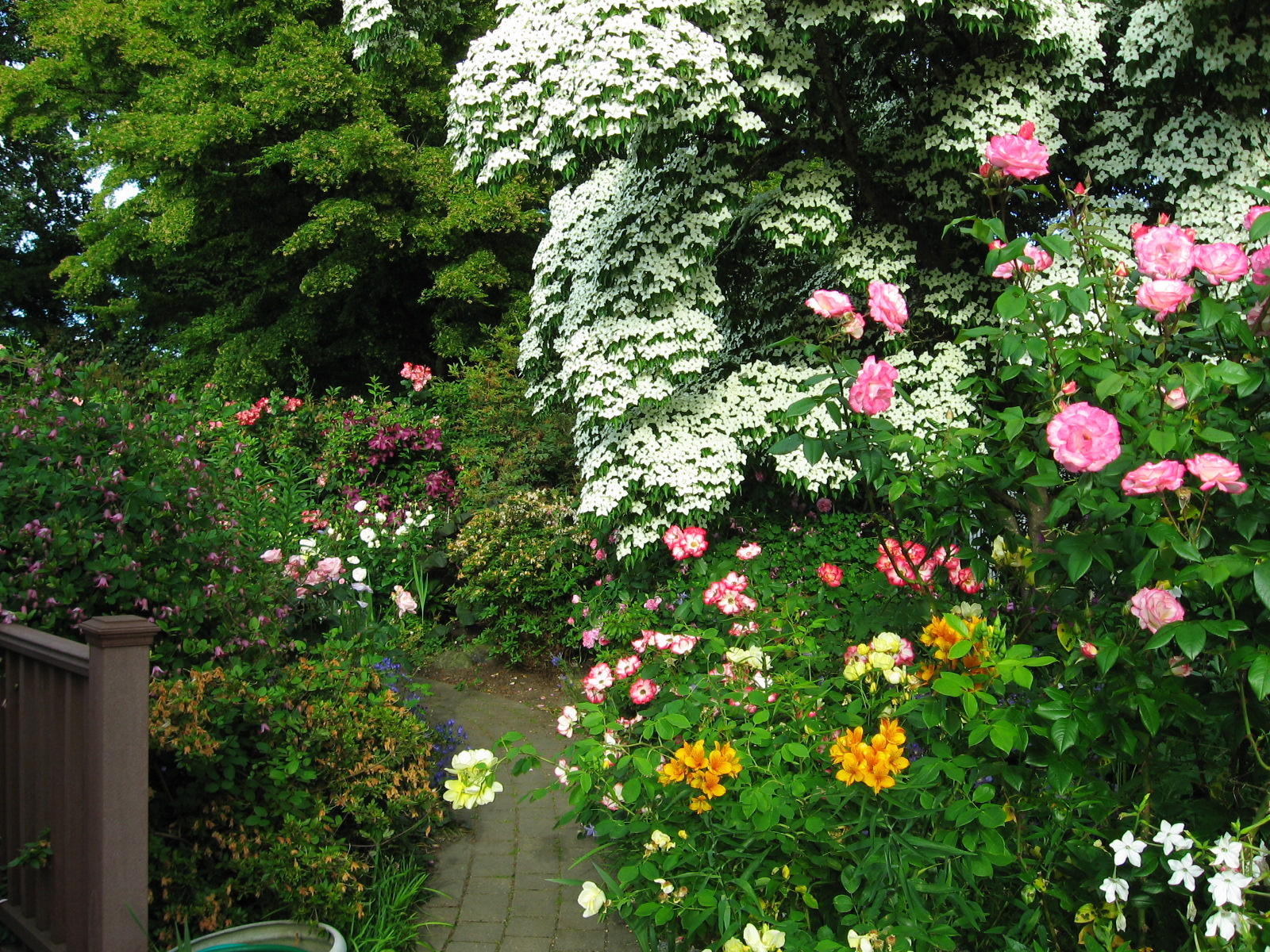 Salem Rose Society, Oregon, USA