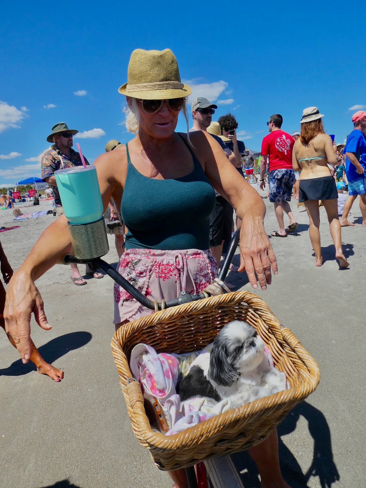 Galley Wench Tales Surfing Dogs of Cocoa Beach Our Wooly, Wacky